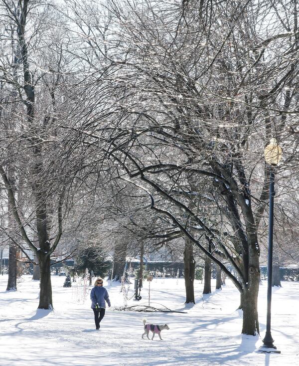 Stacy Whitehead walks with her dog, Dolly, as the sun highlights the ice-covered limbs above the walking trail at Legion Park in Owensboro, Ky., Thursday, Jan. 9, 2025. (Alan Warren/The Messenger-Inquirer via AP)