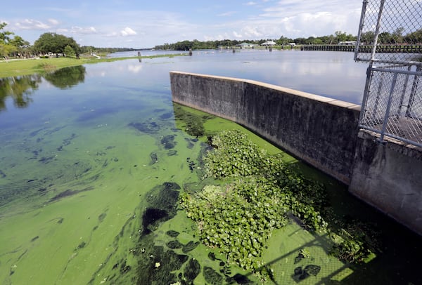 FILE - An algae bloom appears on the Caloosahatchee River at the W.P. Franklin Lock and Dam in Alva, Fla., on Thursday, July 12, 2018. (AP Photo/Lynne Sladky, File)