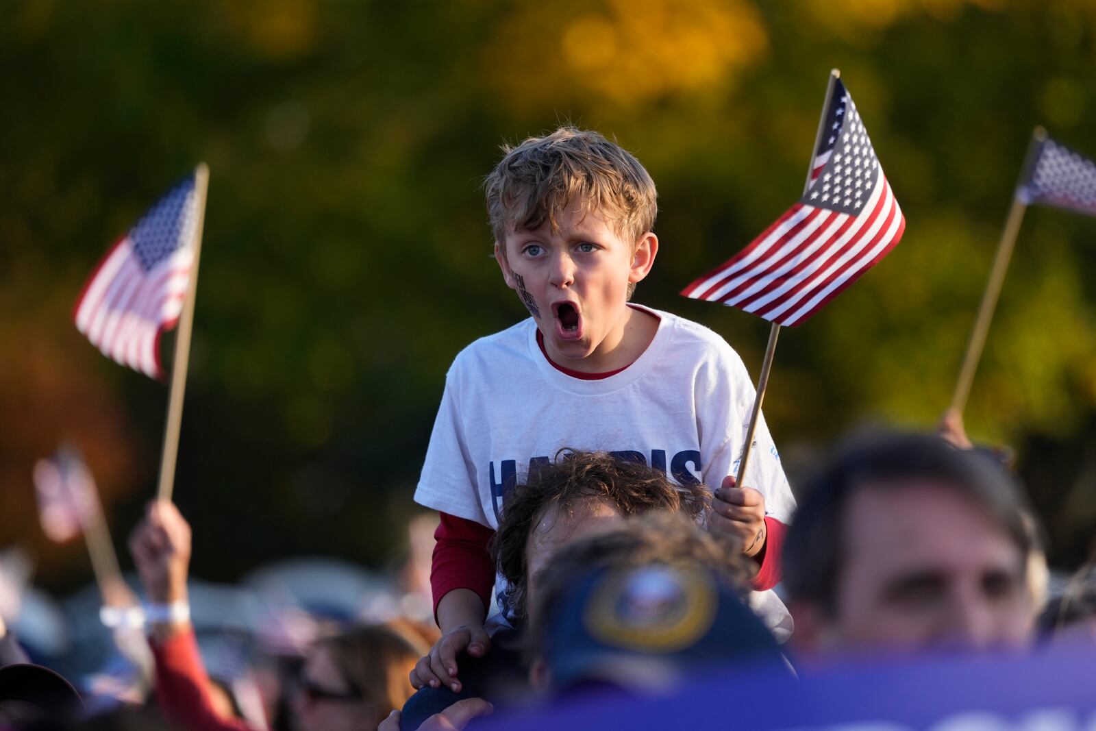 Supporters of Democratic presidential nominee Vice President Kamala Harris attend a campaign rally in Washington Tuesday, Oct. 29, 2024. (AP Photo/Ben Curtis)