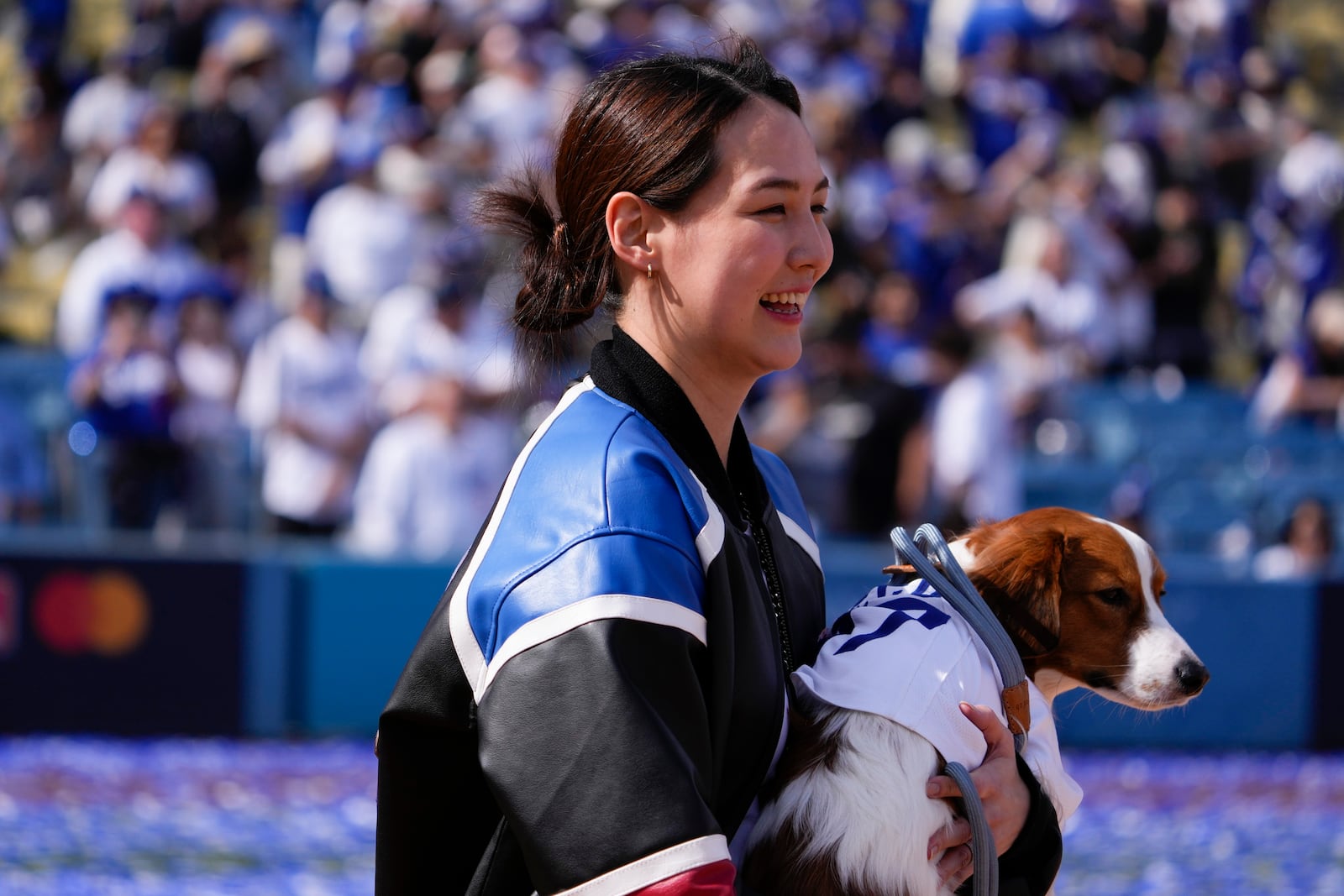 Mamiko Tanaka, wife of Los Angeles Dodgers' Shohei Ohtani, holds their dog Decoy during the baseball team's World Series championship parade and celebration at Dodger Stadium, Friday, Nov. 1, 2024, in Los Angeles. (AP Photo/Mark J. Terrill)