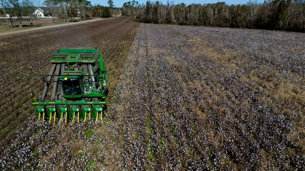 A cotton picker works in a field of cotton, Friday, Dec. 6, 2024, near Lyons, Ga. (AP Photo/Mike Stewart)