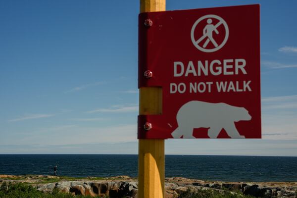 A person walks along the rocks near Hudson Bay while watching for polar bears, Saturday, Aug. 3, 2024, in Churchill, Manitoba. (AP Photo/Joshua A. Bickel)