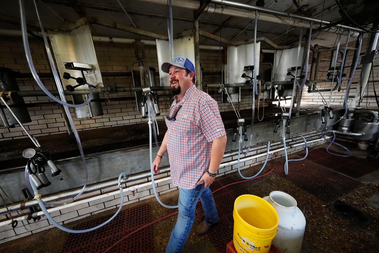 Aubrey Jarrell owner of Jarrell Bros. Dairy Farm in Kentwood, La., walks past milking equipment just before his cows' 3:00 PM milking, Wednesday, Oct. 30, 2024. (AP Photo/Gerald Herbert)