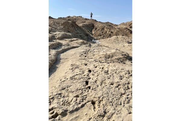 Scientists study fossil footprints for clues about co-existing species of early human ancestors at the excavation site on the eastern side of Lake Turkana in northern Kenya, in 2022. (Neil Thomas Roach via AP)