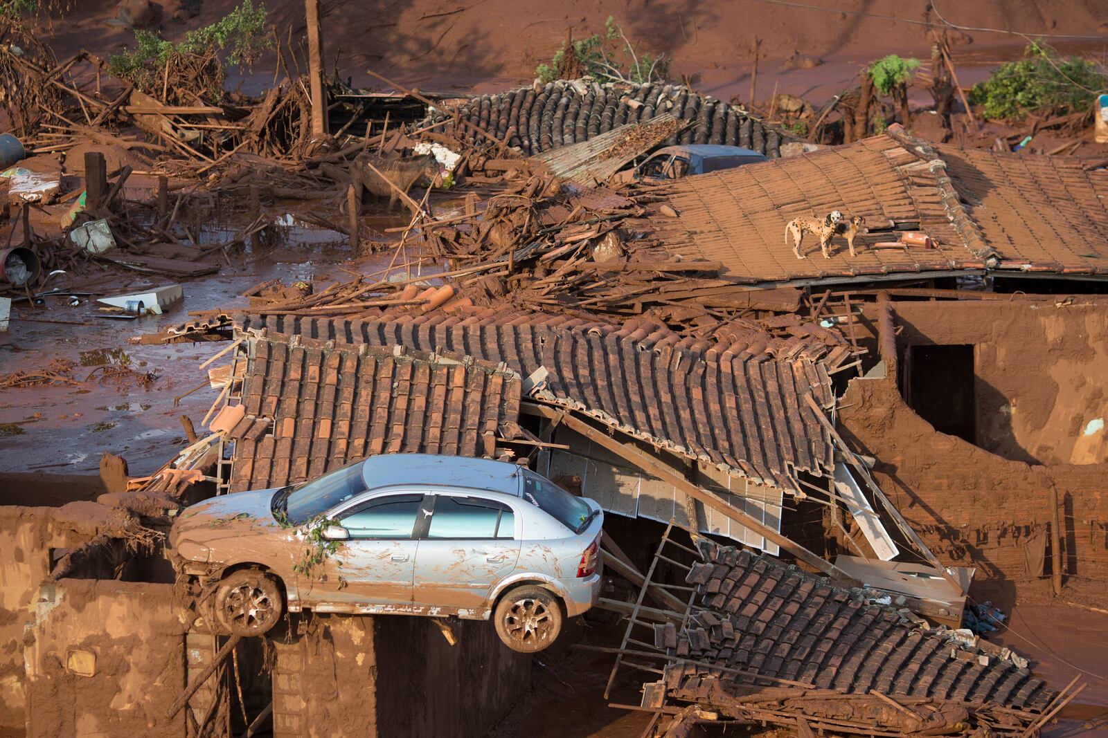 FILE - A car and two dogs are on the roof of destroyed houses at the small town of Bento Rodrigues after a dam burst in Minas Gerais state, Brazil, Nov. 6, 2015. (AP Photo/Felipe Dana, File)