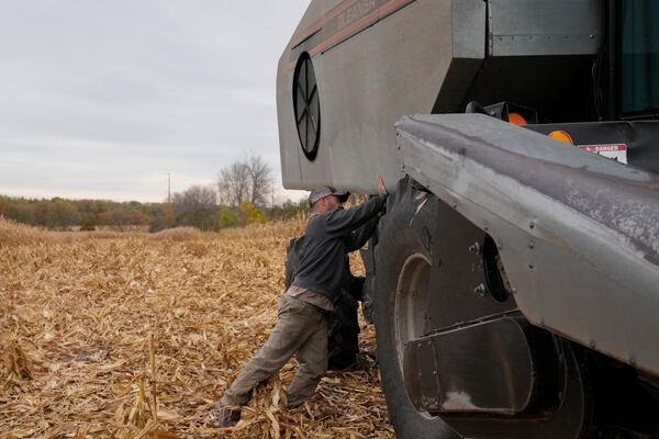 Martin Larsen examines his combine after harvesting corn, Friday, Oct. 18, 2024, in Oronoco, Minn. (AP Photo/Abbie Parr)