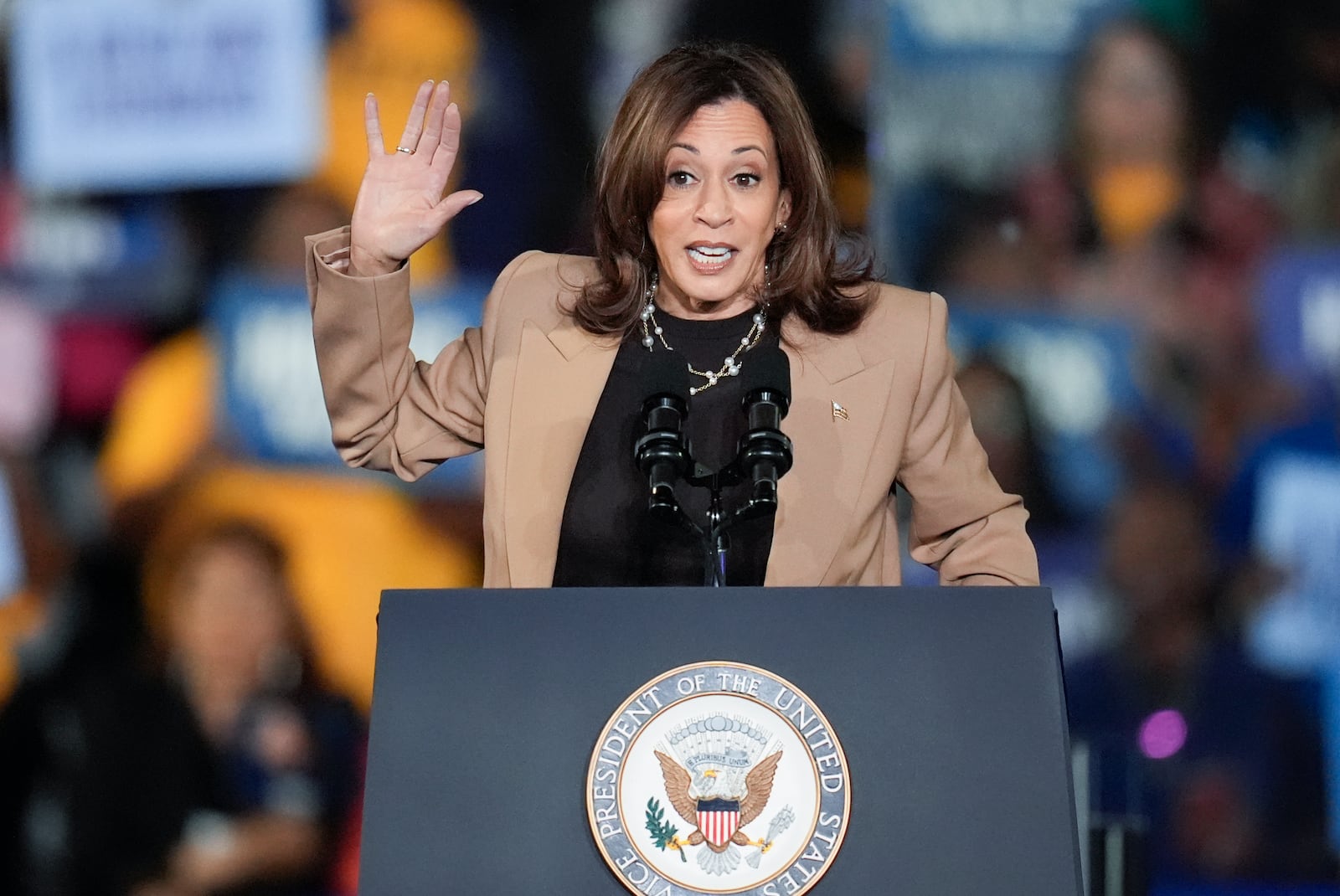 Democratic presidential nominee Vice President Kamala Harris speaks during a campaign rally on Thursday, Oct. 24, 2024, in Clarkston, Ga. (AP Photo/Mike Stewart)